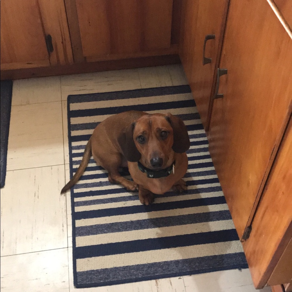 Meet your Posher, Donna